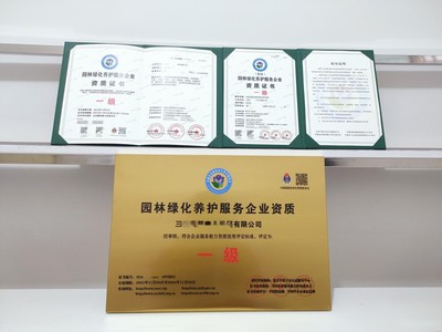 上海市企業一站式代辦服務 營業執照、務代碼證、財務咨詢與代理記賬全解析